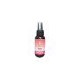 DOLCI FIORI ARIA SPRAY 70 ML