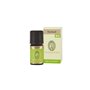 PATCHOULI BIO 5 ML OLIO ESSENZIALE ITCDX