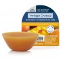 YANKEE CANDLE WAX MELT SINGLE MANGO PEACH SALSA