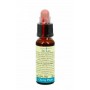 FIORI DI BACH 06 - CHERRY PLUM - FLACONE DA 10 ML